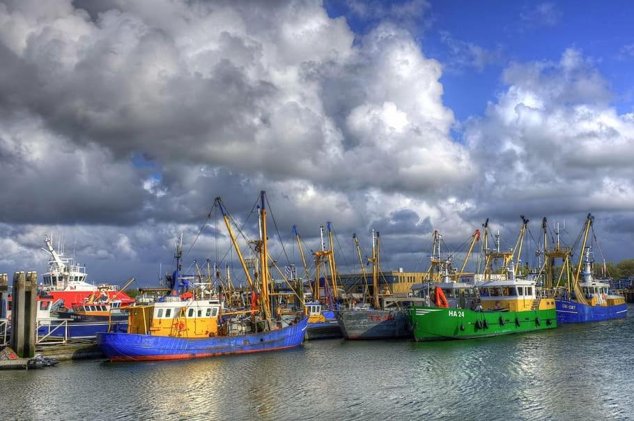 Robbenoort 45 Villa Lauwersoog Dış mekan fotoğraf